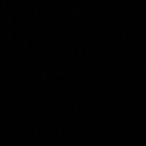 Meet your Posher, Anahi